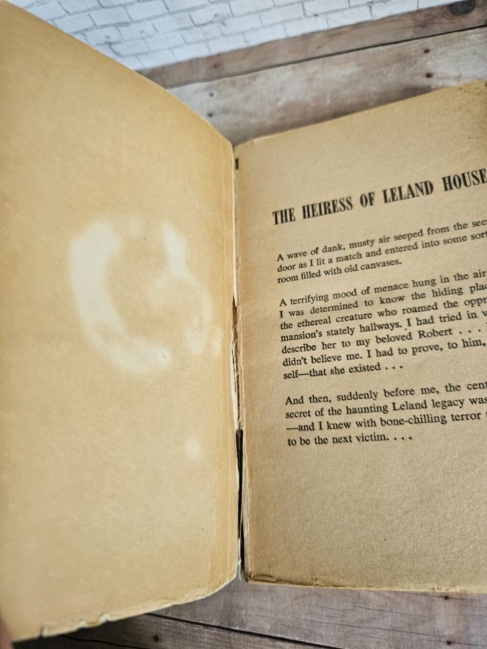 Dorothy Daniels The Leland Legacy 1965 Gothic Romance Paperback 1st Printing - Picture 4 of 5